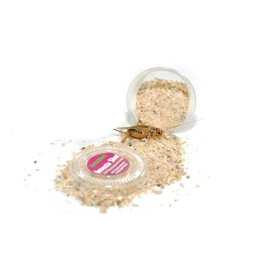 HabiStat Insecta Shot single food pot