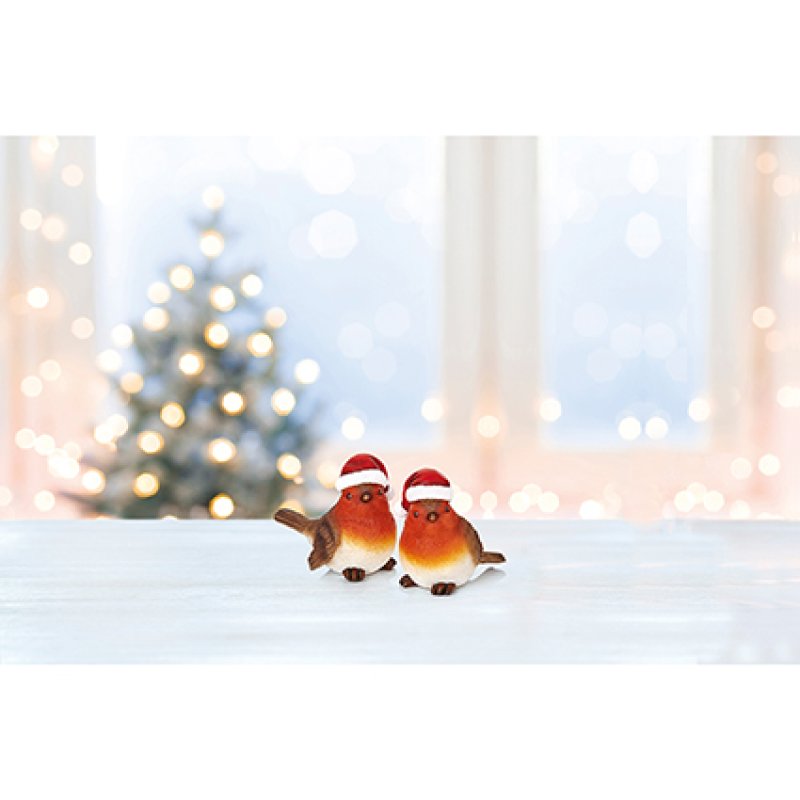 Robin Christmas Hanger 10 cm - 2 Assorted Designs