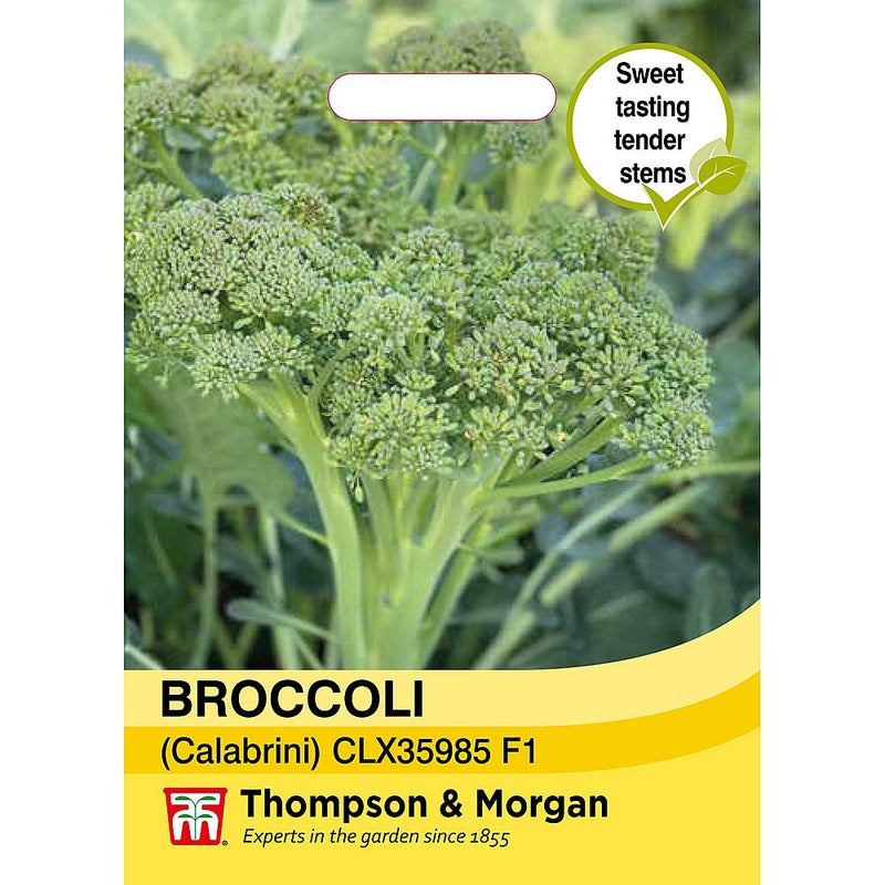 Broccoli 'Sweet Returns' F1 (Calabrini) (White Sprouting)