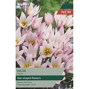 Tulip Hilde 5+ P/P