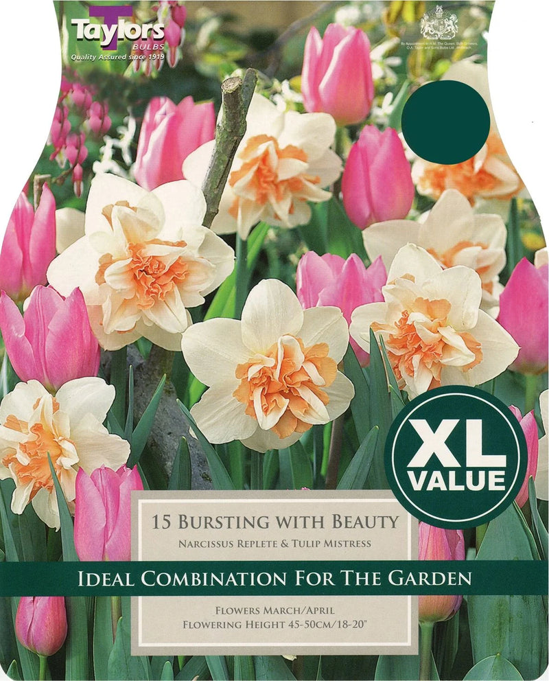 Taylors Classic Combination 'Bursting With Beauty' (10 Pack)