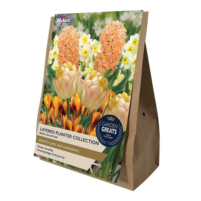 Layered Planter Collection - Garden Greats (20 Pack)