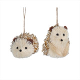 Gold Bristle Hedgehog