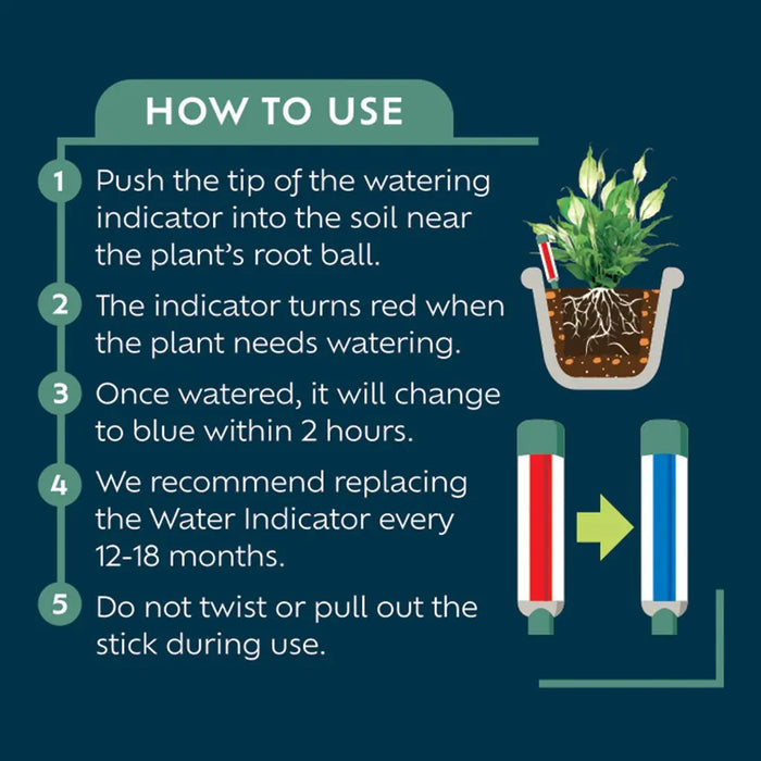 Westland Houseplant Watering Indicator Stick - Small