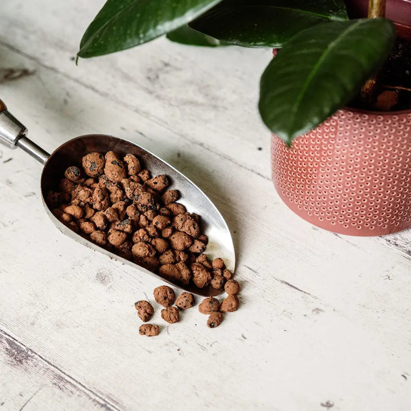 Westland Hydroleca Clay Granules 10L