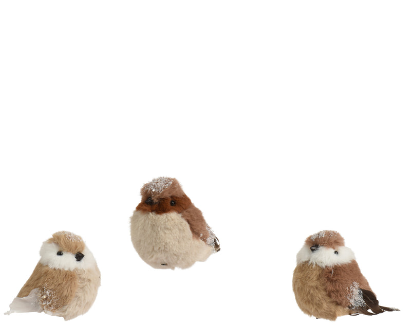 Bird Clip Figure 7 × 11 × 9 cm Multi – 3 Assorted Designs
