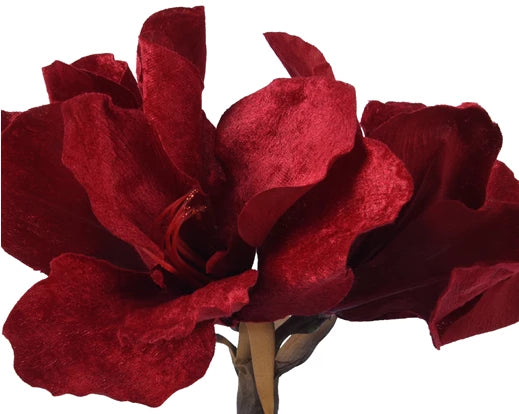Decorative Amaryllis Flower on Stem (50.8x18 cm)