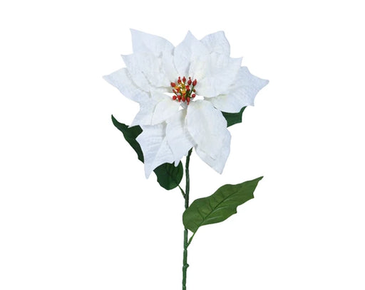 Christmas Poinsettia On Stem White (L.22cm x W.23cm x H.67cm)