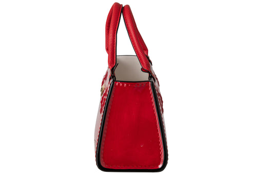 Red Handbag Vase