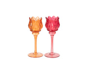 Small Tulip Tealight Holder - Assorted