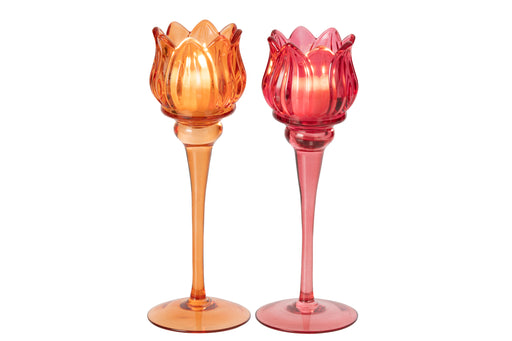 Large Tulip Tealight Holder - Assorted