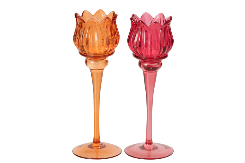 Large Tulip Tealight Holder - Assorted