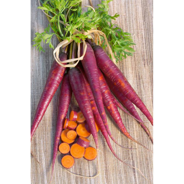 Carrot 'Cosmic Purple'