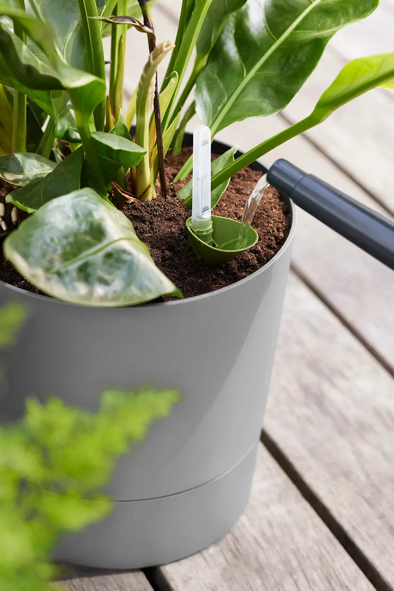 Greensense Aqua Care Round 30cm Light Concrete