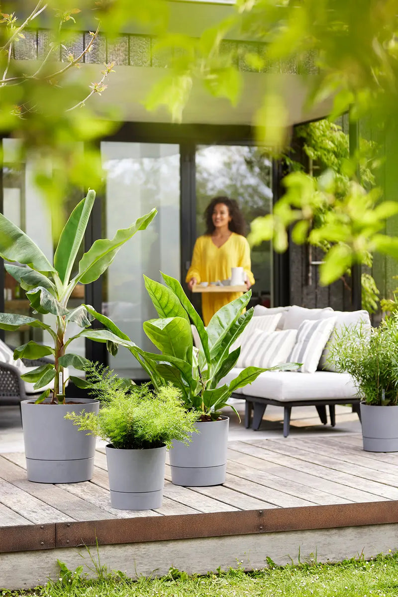 Greensense Aqua Care Round 30cm Light Concrete