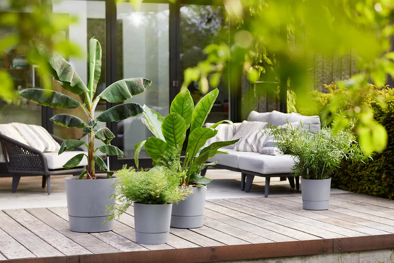 Greensense Aqua Care Round 30cm Light Concrete