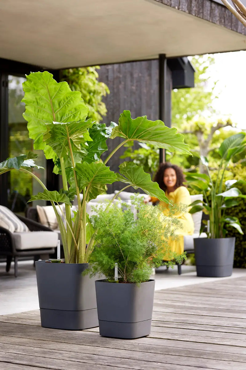 Greensense Aqua Care Square 30cm Charcoal Grey