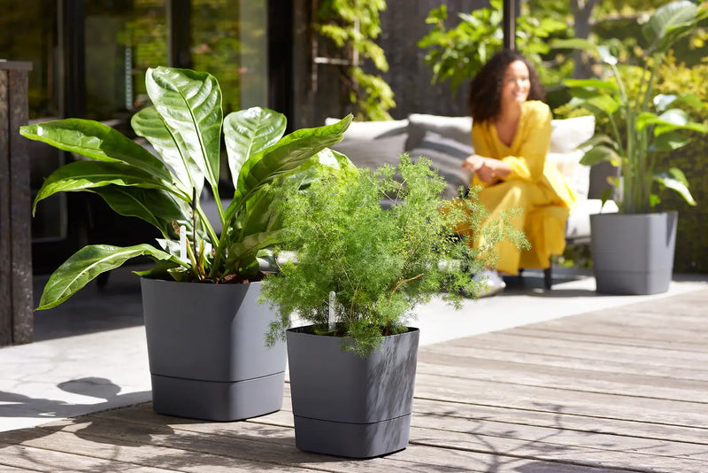 Greensense Aqua Care Square 30cm Charcoal Grey