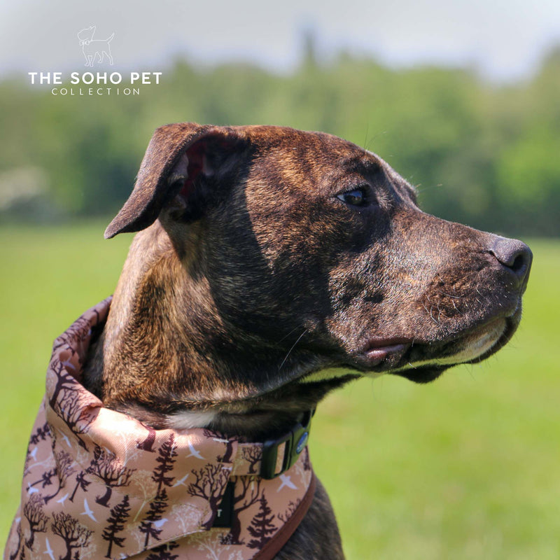 Ancol Soho Reversable Bandana Maple/Woodland