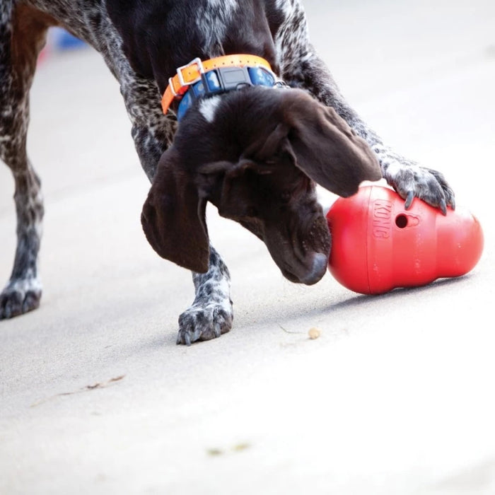 Kong Wobbler (Small)