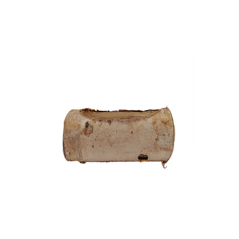 Natural Birch Planter 18 cm