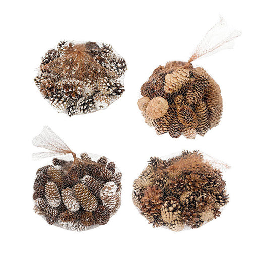 Assorted Pine Cones in Bag