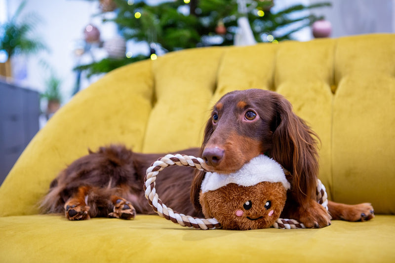 Christmas Pudding Tug of War Rope Dog Toy