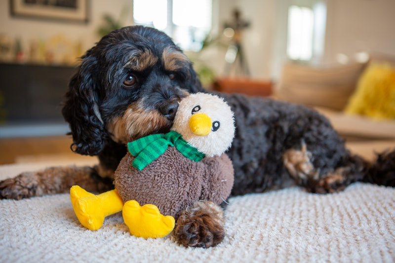 Terry the Turkey Chick Dog Toy