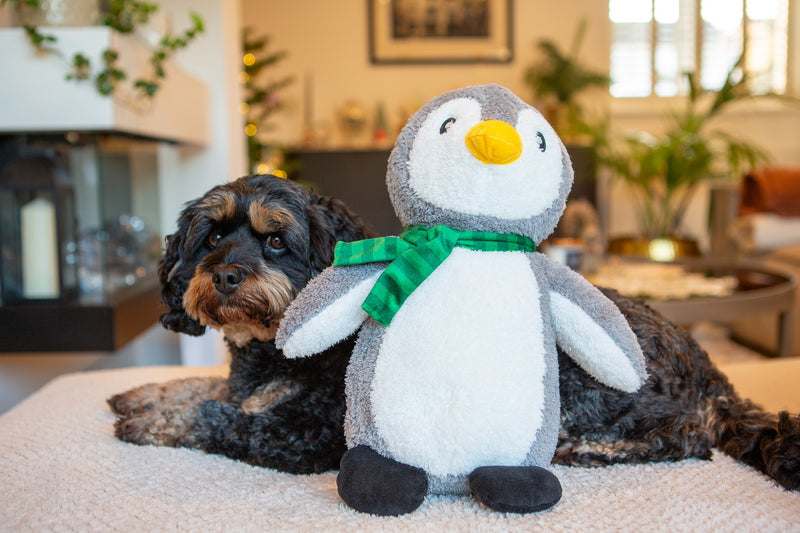 Pebble the Penguin Dog Toy