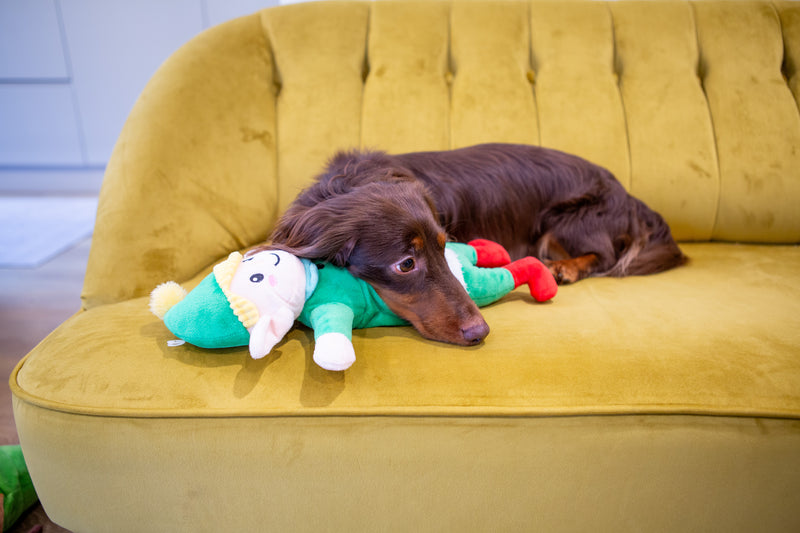 Stretchy Elf Dog Pull Toy