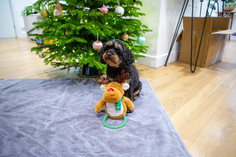 Ronny Reindeer Dog Toy