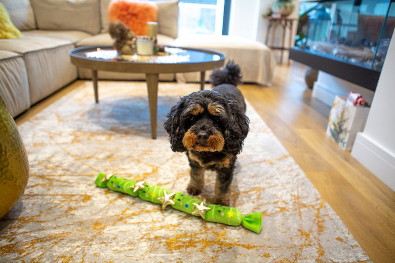 Christmas Tree Hot Digity Dog