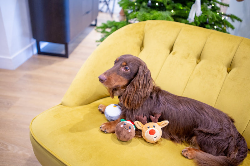 Festive Characters Covered Tennis Balls Tough Dog Toy