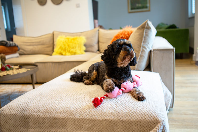 String of Piglets Rope Dog Toy