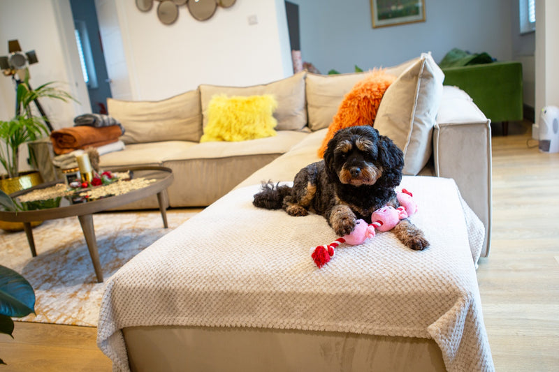 String of Piglets Rope Dog Toy