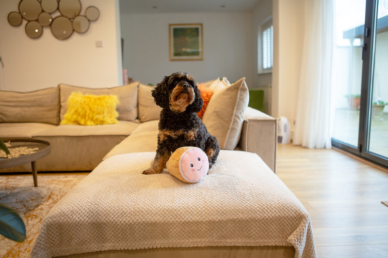 Christmas Ham Tough Rope Dog Toy