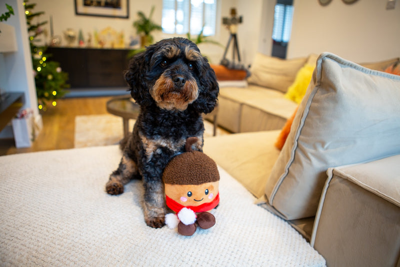 Christmas Chestnut Dog Toy