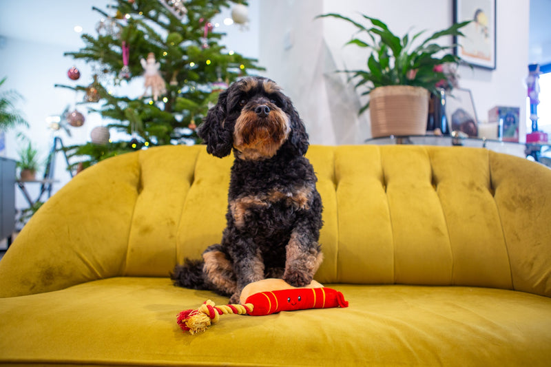 Ropee Hot Dog Dog Toy
