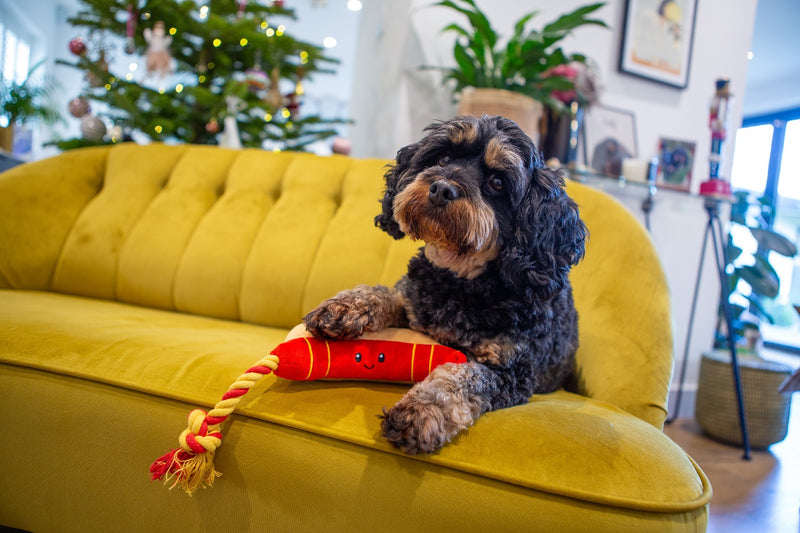 Ropee Hot Dog Dog Toy