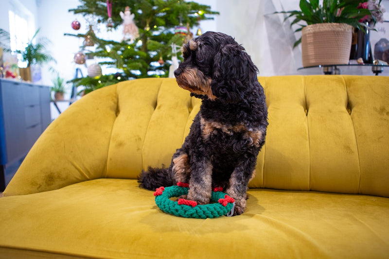 Ropee Christmas Wreath Dog Toy