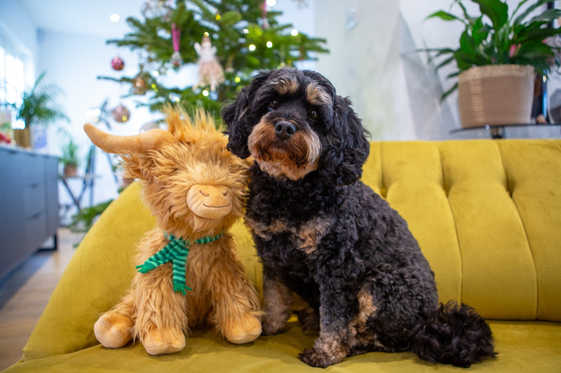 Festive Highland Cow Jumbo