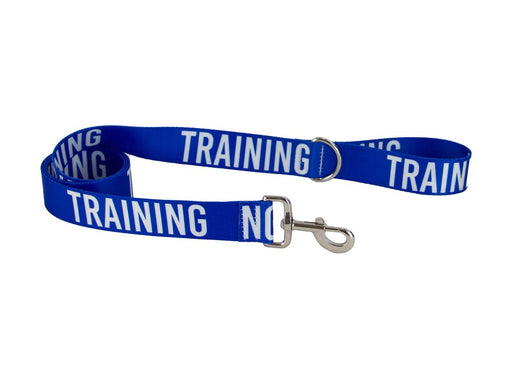 40mm Awareness Lead Blue-Training product image