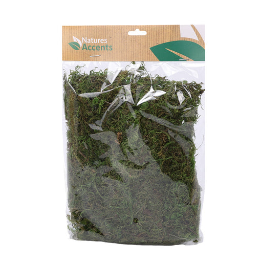 Green Dried Moss 100 g