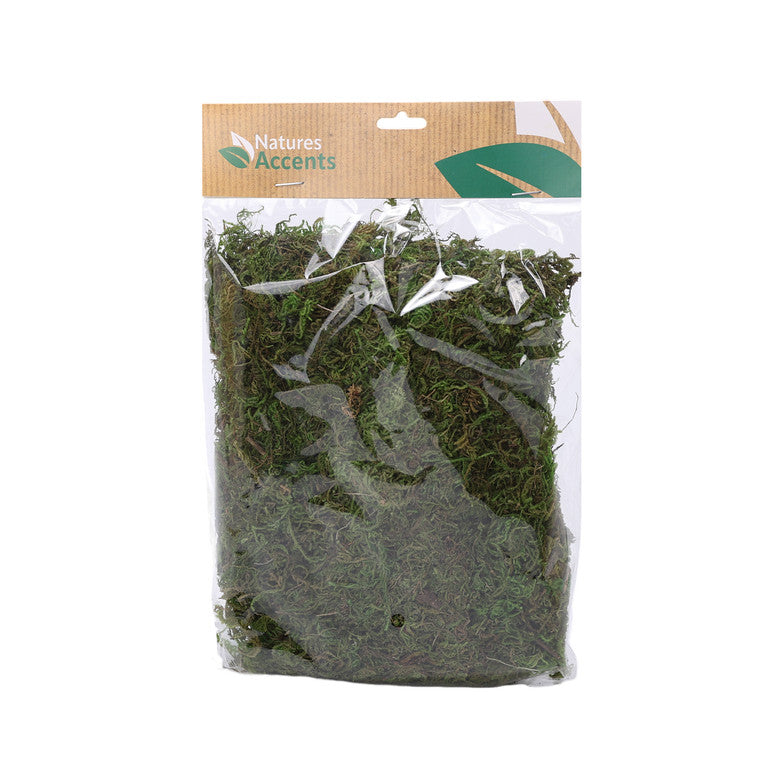 Green Dried Moss 50 g