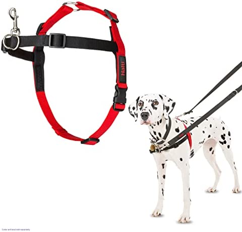 Halti Harness Medium Black and Red