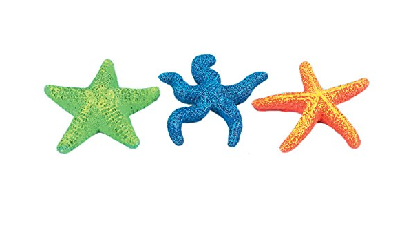 Classic Starfish Assortment (95 × 95 × 25mm)