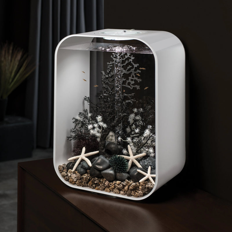 BiOrb Sea Urchins Set Black