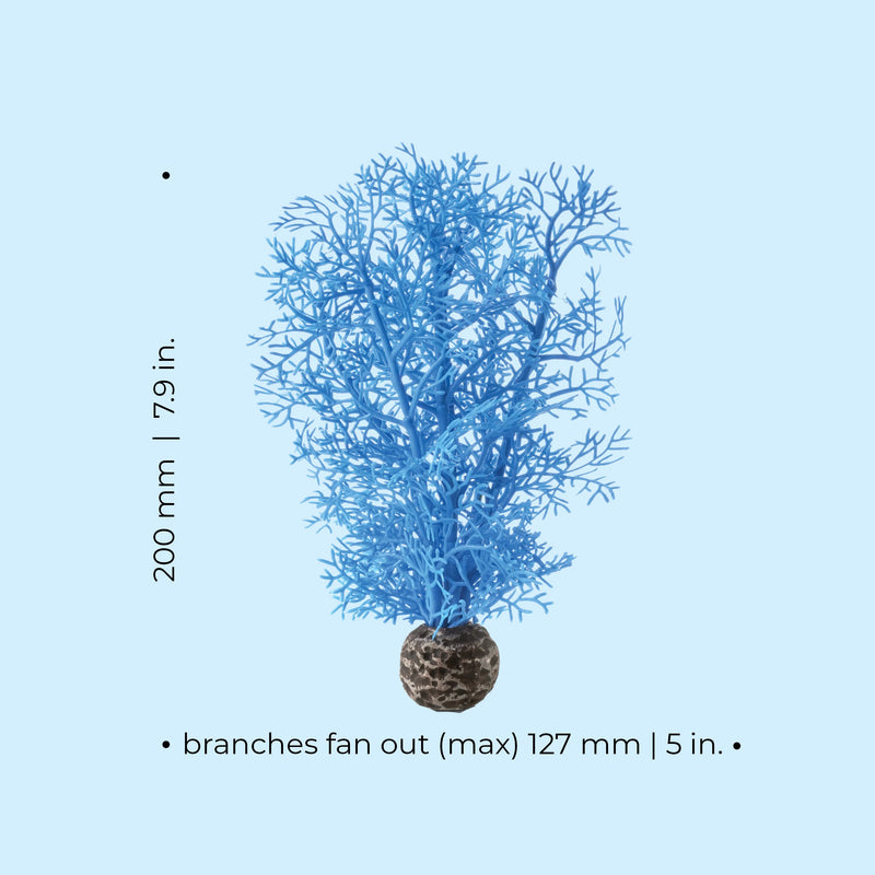 biorb sea lily white Biorb Sea Fan Blue Small — Newlands Garden Centre