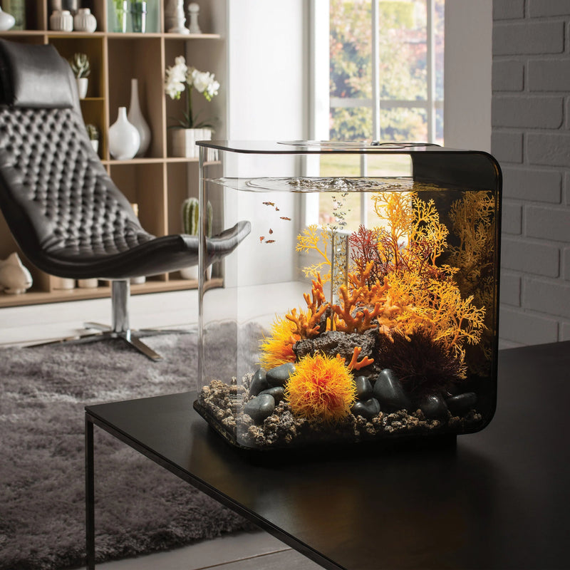 biOrb Flow Aquarium 30 Litre with Multi Colour LED Light-Remote Control Black