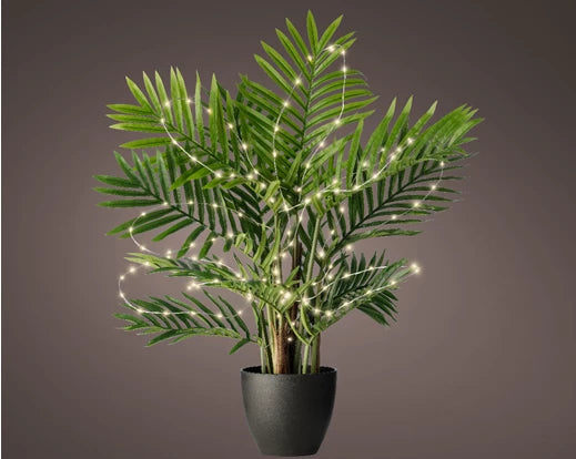 40 Lumineo Micro LED Plant Lights With Steady Function | Battery Operated Warm White 40 LED
